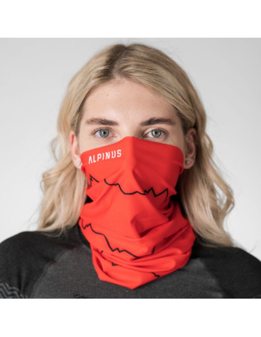 Komin alpinus zuzi alp