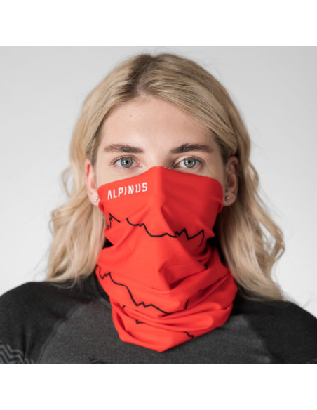 Komin alpinus zuzi alp