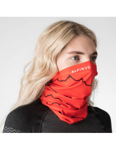 Komin alpinus zuzi alp