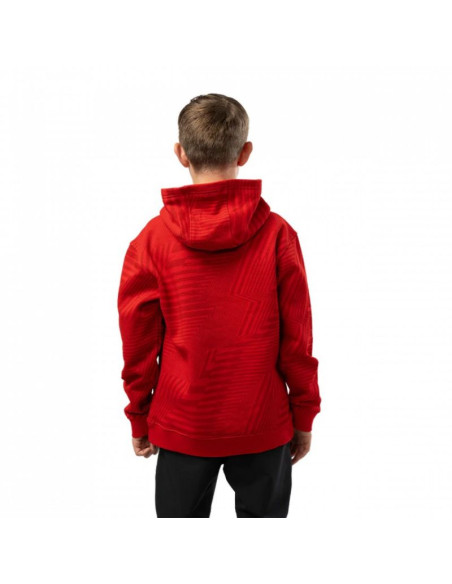 Bluza bauer graphic stripe hoody jr