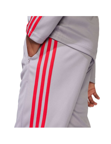 Spodnie adidas squadra 25 training jr