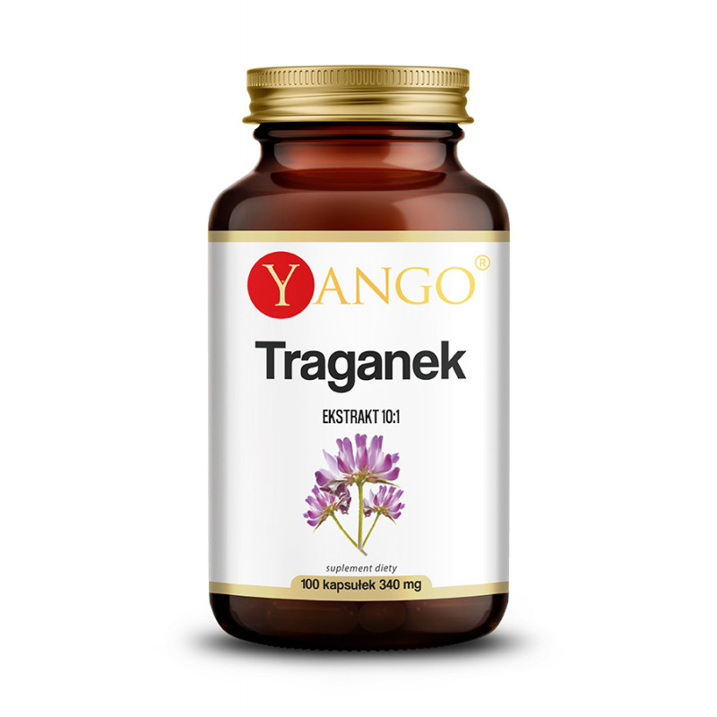 Astragalus - Traganek (100 kaps.)