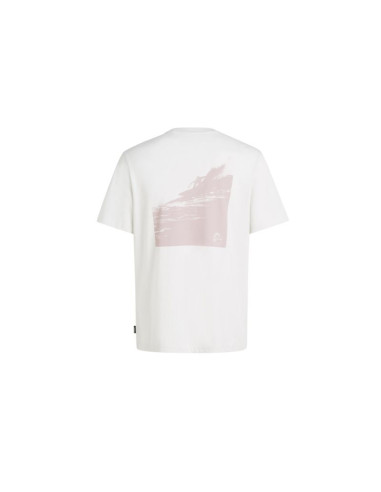 Koszulka o'neill og bt t-shirt m