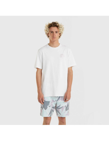 Koszulka o'neill og bt t-shirt m