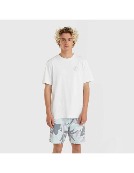 Koszulka o'neill og bt t-shirt m