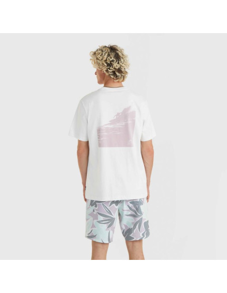 Koszulka o'neill og bt t-shirt m