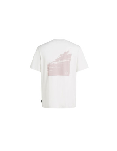 Koszulka o'neill og bt t-shirt m