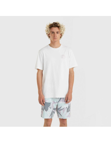 Koszulka o'neill og bt t-shirt m