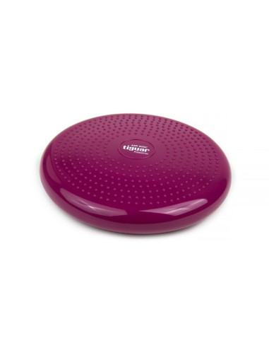 Dysk stabilizujący tiguar (air disc) dr