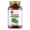Gorzknik Kanadyjski 380 mg (90 kaps.)
