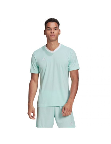 Koszulka adidas entrada 22 m