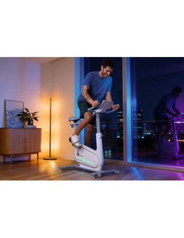 Rower treningowy elektromagnetyczny spokey zen