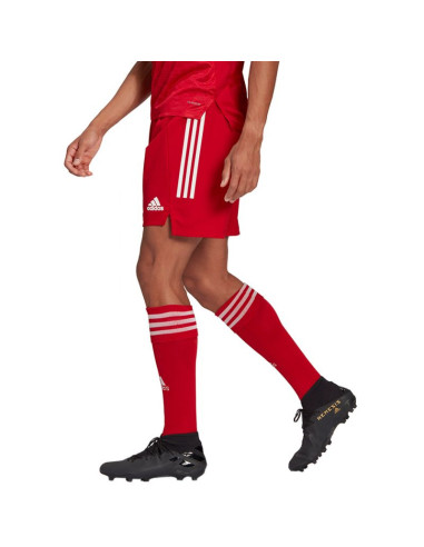 Spodenki adidas condivo 21 primeblue shorts m