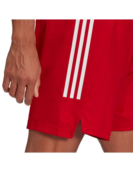 Spodenki adidas condivo 21 primeblue shorts m