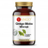 Ginkgo biloba - ekstrakt (90 kaps.)