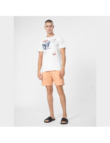 Spodenki 4f m 4fss23tshom074