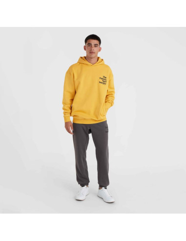 Bluza o'neill future surf society hoodie m