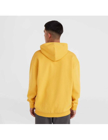 Bluza o'neill future surf society hoodie m