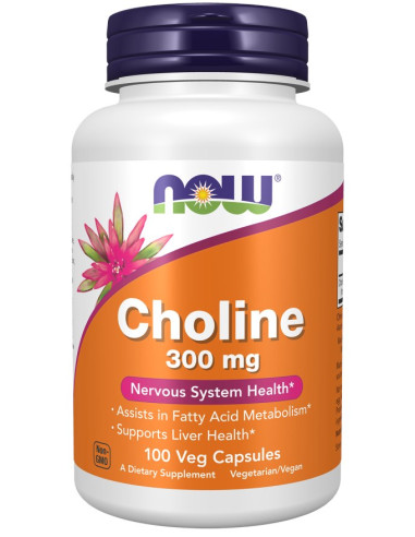 Cholina 300 Mg (100 Kaps.)