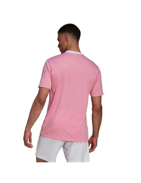 Koszulka adidas entrada 22 m