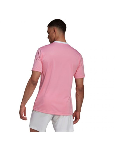 Koszulka adidas entrada 22 m