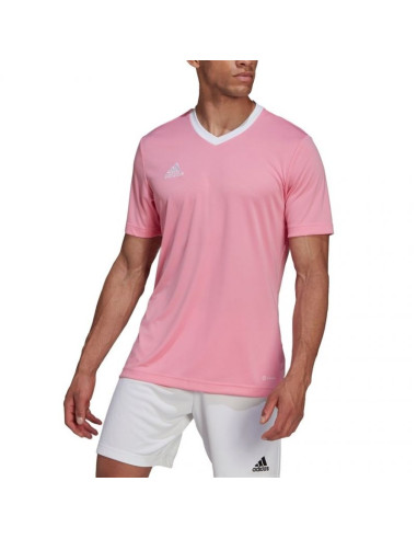 Koszulka adidas entrada 22 m