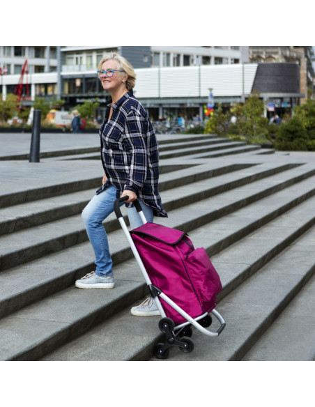 Wózek zakupowy expert premium 604353