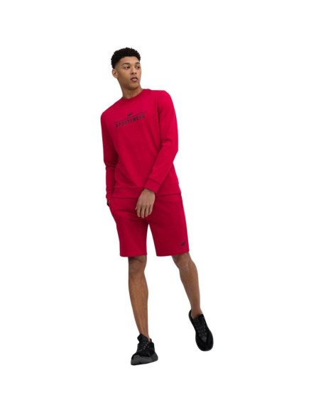 Spodenki 4f m156 m 4fss23tshom156