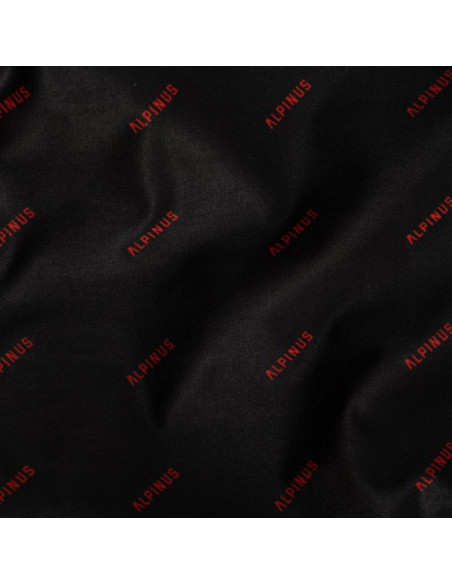 Komin alpinus agi alp