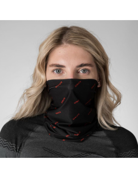 Komin alpinus agi alp