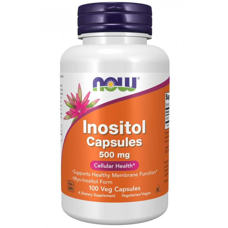 Inozytol 500 mg  (100 kaps.)