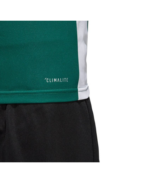 Koszulka adidas entrada 18 jr