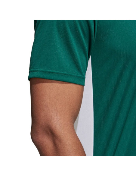 Koszulka adidas entrada 18 jr