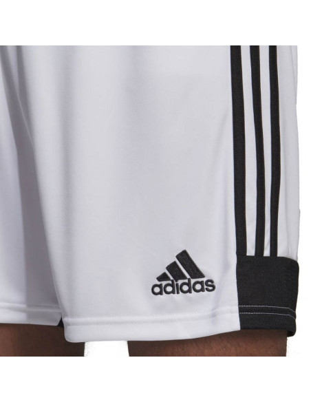 Spodenki adidas tastigo 19 shorts m