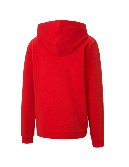 Bluza puma teamgoal 23 casuals hoody jr 656711