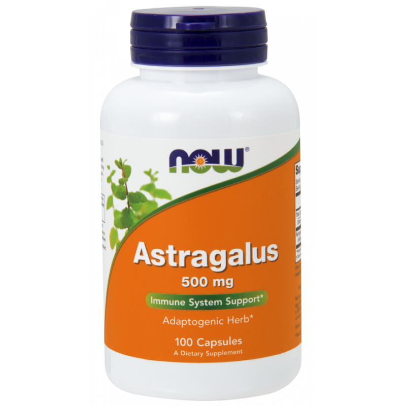 Astragalus - Traganek 500 mg (100 kaps.)