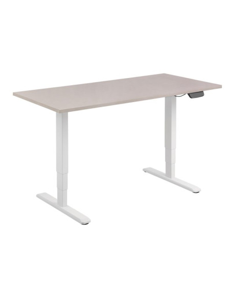 Wyposażenie ramy biurka z podwójnym silnikiem elektrycznym 125 kg ws lite sprzedaż detaliczna