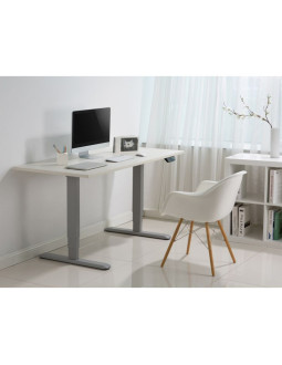 Wyposażenie ramy biurka w podwójny silnik elektryczny 125 kg gr lite 2