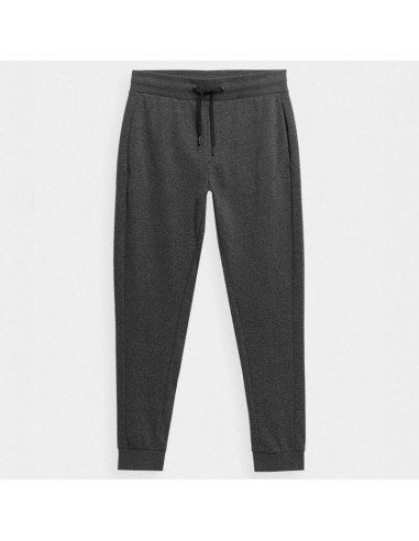 Spodnie 4f m 4fss23ttrom223