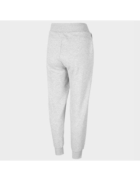 Spodnie 4f w h4z22-spdd351