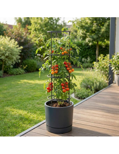 Doniczka do sadzenia pomidorów z drabinką pojemności 35l home grower antracyt