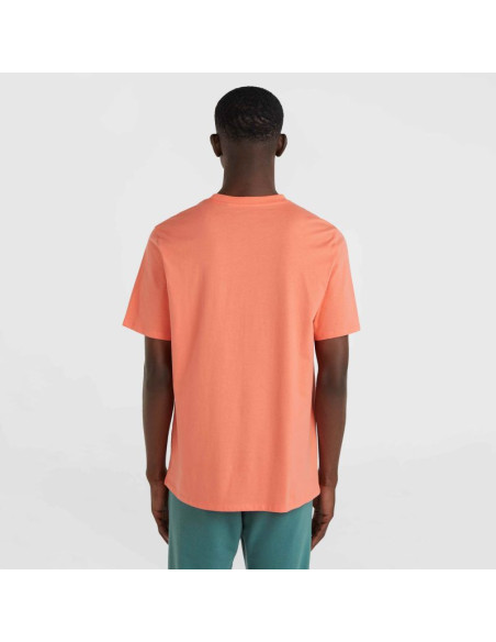 Koszulka o'neill cali original t-shirt m