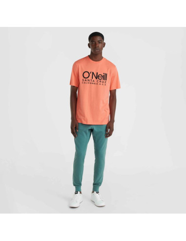 Koszulka o'neill cali original t-shirt m