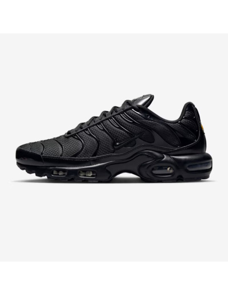 Air max plus