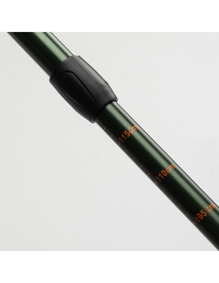 Kije trekkingowe toalps