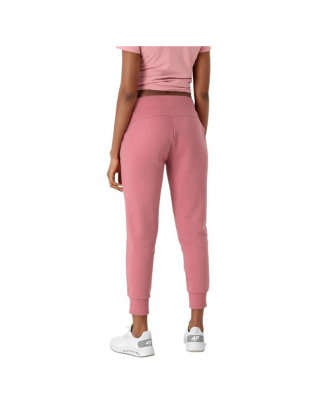 Spodnie 4f w nosh4 spdd351