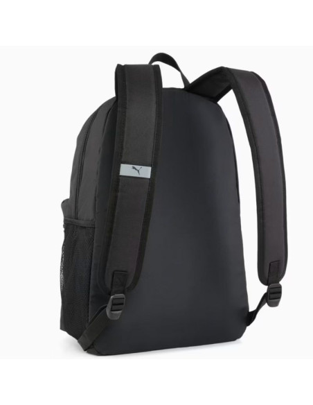 Pleack puma phase 091164