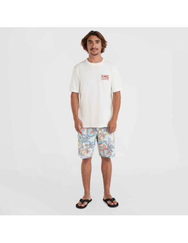 Koszulka o'neill beach graphic t-shirt m