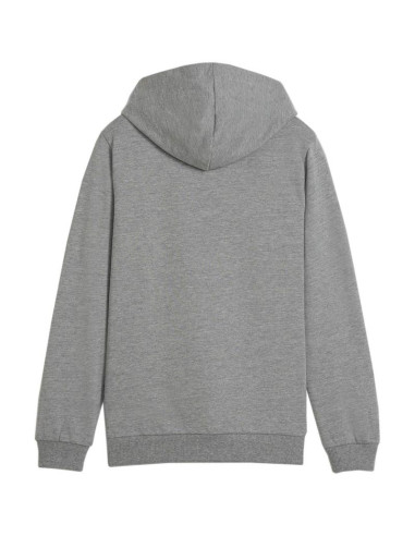 Bluza puma team goal casuals hoddy jr 658619