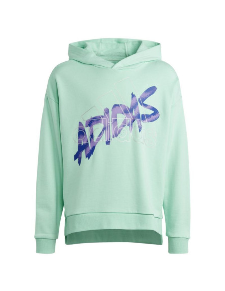 Bluza adidas d hoody jr hr5825